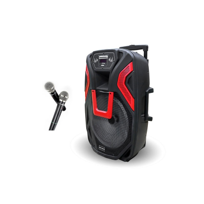Портативная акустическая колонка ZXX-1503 (60 Вт, 15