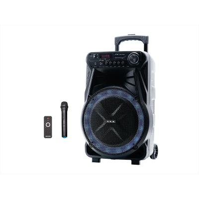 Акустическая переносная колонка ZXX-7171 600Вт 12