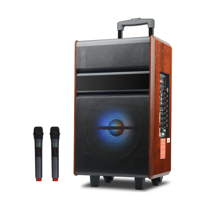 Портативная колонка ART LIVE 12, Bluetooth, USB, FM, караоке, 1200W