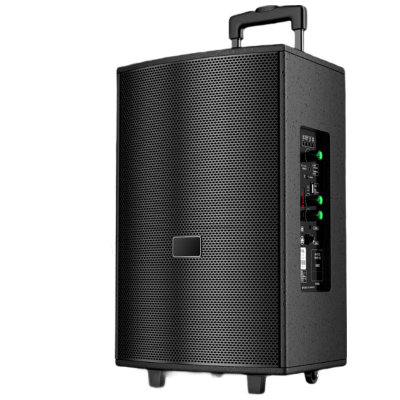 Портативная колонка T2 Pro, Bluetooth, USB, FM, караоке, 1000W