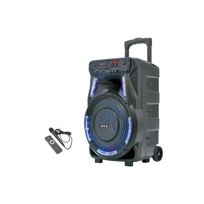 Портативная акустика ZXX-7373, 400 Вт, 12