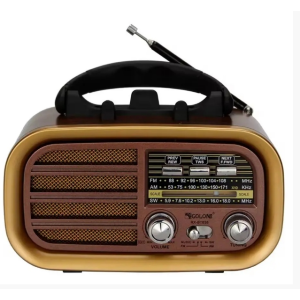 Радіоприймач GOLON RX-BT638, з акумулятором, Bluetooth, USB та SD