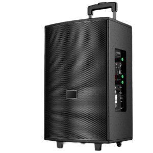 Портативная колонка T2 Pro, Bluetooth, USB, FM, караоке, 1000W