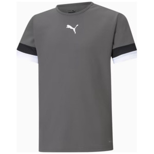 Футболка Puma teamRISE Jersey Jr сірий дитячий 116 см (704938-13)
