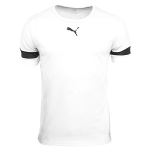 Футболка Puma teamRISE Jersey Jr білий дитячий 116 см (704938-04)