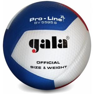 М'яч волейбольний Gala Pro-Line 12 FIVB BV5595S