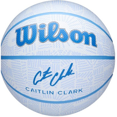М'яч баскетбольний Wilson CC ENVISION BSKT size 6