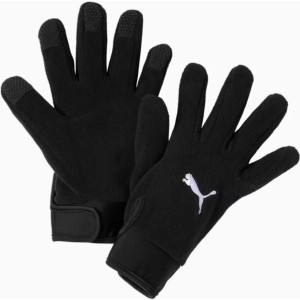 Рукавички Puma teamLIGA 21 Winter gloves чорний M/L (041706-01)