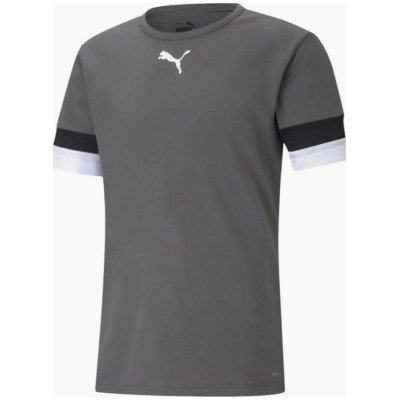 Футболка Puma teamRISE Jersey сірий XXXL (704932-13)