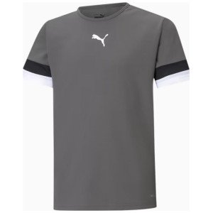 Футболка Puma teamRISE Jersey Jr сірий дитячий 116 см (704938-13)