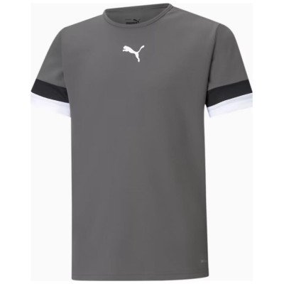 Футболка Puma teamRISE Jersey Jr сірий дитячий 116 см (704938-13)