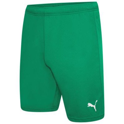 Шорти Puma teamRISE Short зелений Чол XL