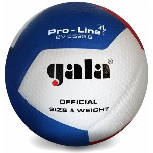 М'яч волейбольний Gala Pro-Line 12 FIVB BV5595S
