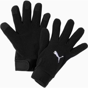 Рукавички Puma teamLIGA 21 Winter gloves чорний M/L (041706-01)